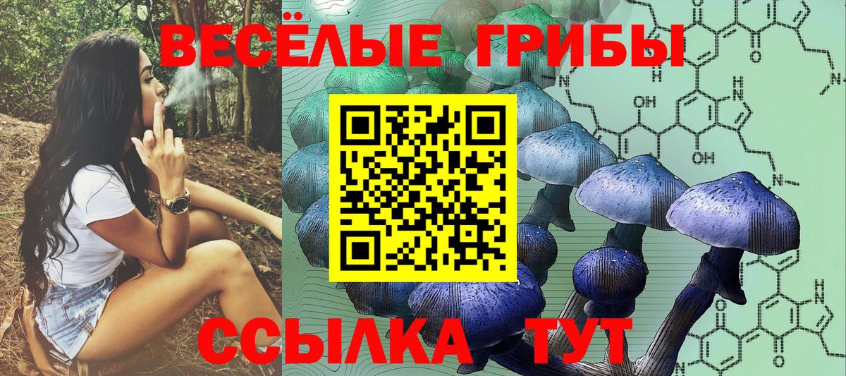 Галлюциногенные грибы MAGIC MUSHROOMS Похвистнево