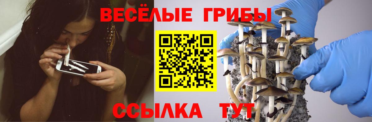 Псилоцибиновые грибы мухоморы  Галлюциногенные грибы мицелий  Похвистнево  Вход с VPN 